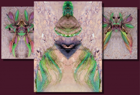 slideshow