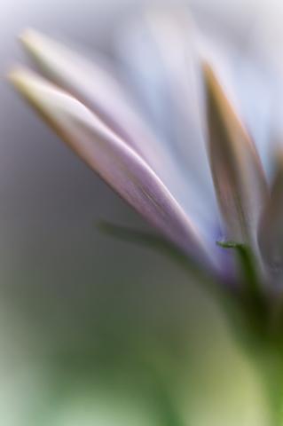 slideshow